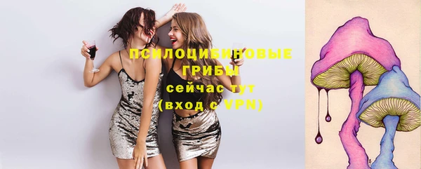 спайс Алексин